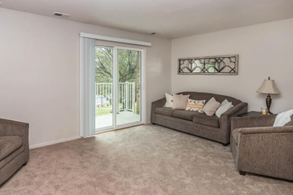 Carpeted living room amenity