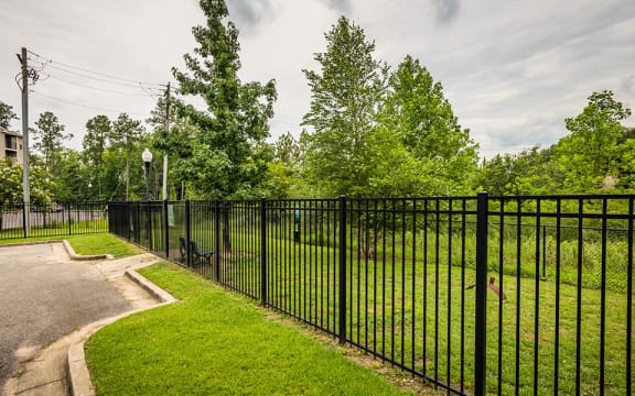 fenced in dog park