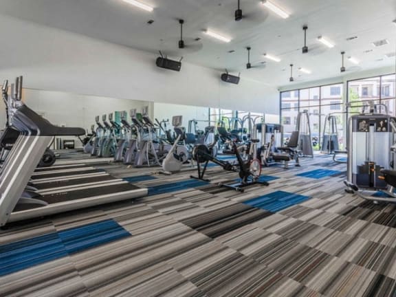 24 Hour Fitness Center at Towers at Spring Creek, Texas, 75044