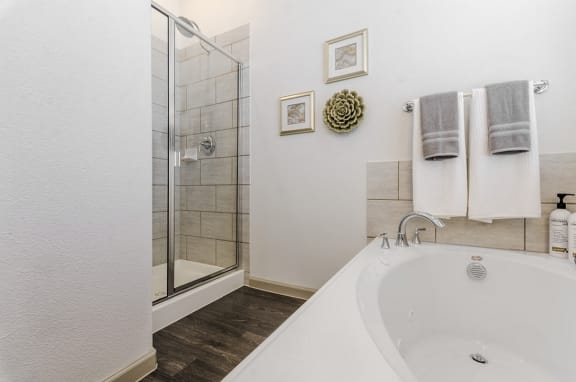 Stand-Up-Shower at Mansions of Georgetown, Georgetown