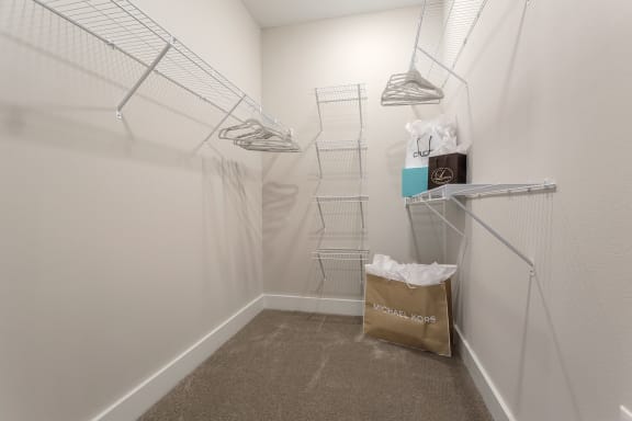 A walk-in closet with a carpeted floor and white walls. at Annandale Apartment Homes, Tennessee