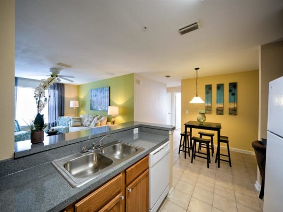 Double Stainless Steel Sink at Thomas Chase Apartments, Jacksonville, 32257
