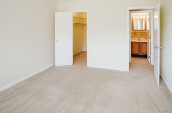 Taymil East Shore Apartment Homes Walk-In Closet