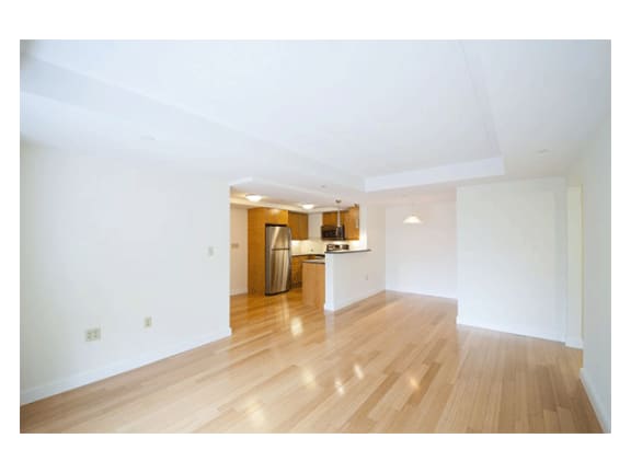 Exotic Bamboo Flooring in Living Room and Kitchen at Marion Square, Brookline