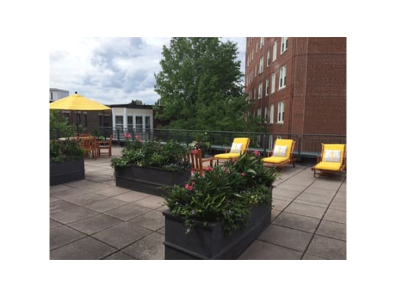 General Roof Deck with Beautiful Landscaping, Providing Leisure Area For All Residents at Marion Square, Brookline,Massachusetts