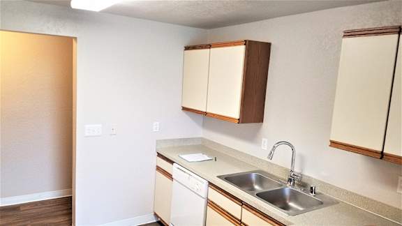Opposite kitchen view with sink and dishwasher