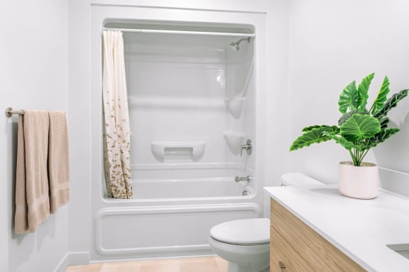 a bathroom with a shower and a toilet and a plant