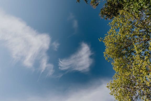 Nature at Pine Village, Sanford, NC, 27332