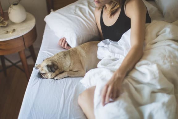 Pet lover at Pine Village, Sanford, North Carolina