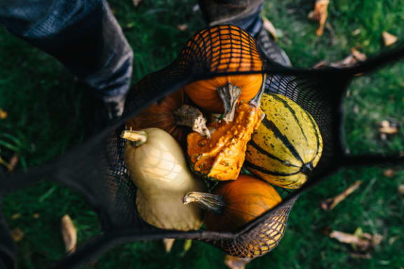 HAlloween at Pine Village, North Carolina, 27332