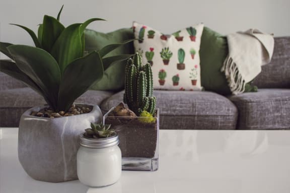Home Decor at Pine Village, Sanford, NC