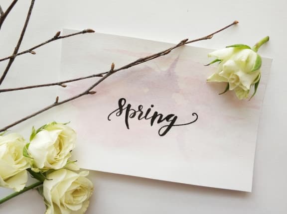Spring Wishes at Pine Village, Sanford