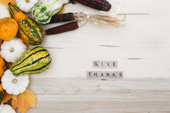 Thanksgiving November at Pine Village, Sanford