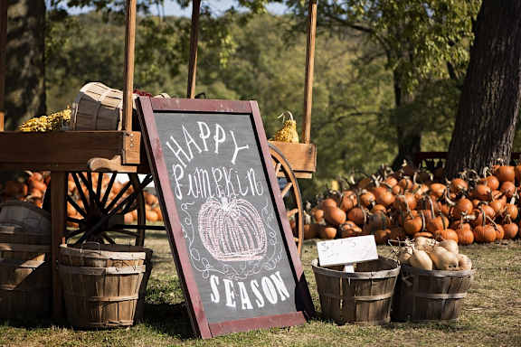 Pumpkin at Pine Village, Sanford, NC, 27332