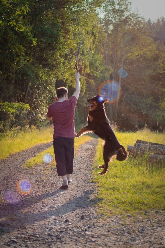 Dog at Pine Village, North Carolina, 27332
