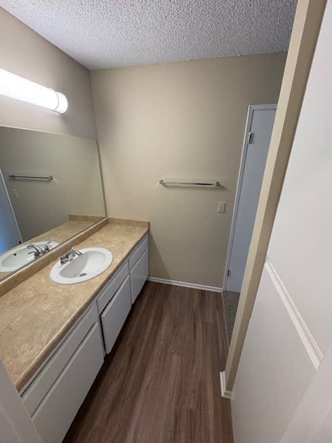 A bathroom with a sink and mirror.