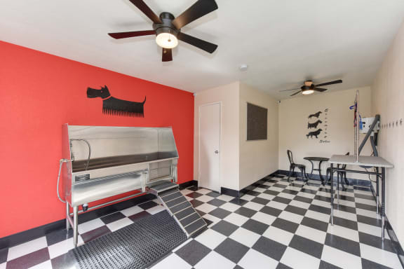 Community Pet  Washing and Grooming Area with Dog Washing Station, Black/White Checker Pattern Floor and Ceiling Facn at Fountains of Fair Oaks, Fair Oaks