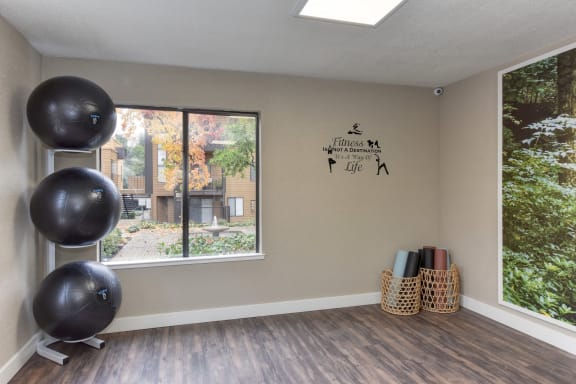Community Yoga Studio with Hardwood Inspired Floor, Yoga Balls, Large Window and Wicker Basket with Yoga Mats at Fountains of Fair Oaks, Fair Oaks, 95628