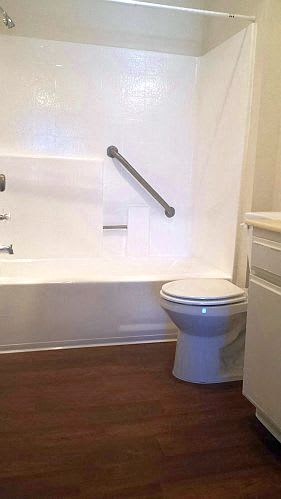 grab bars safety safe