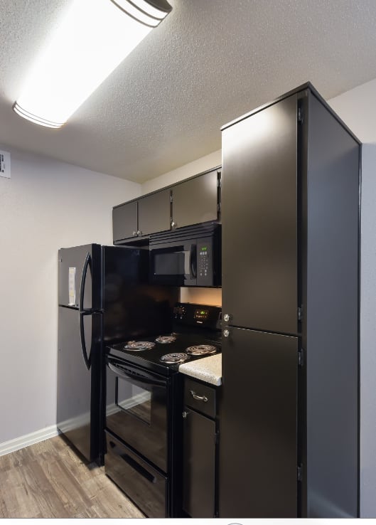 Updated Kitchen With Black Appliances at Seacrest Apartments, Garland