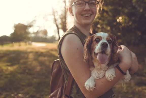 Pet Friendly at Willow Springs, Goleta, California