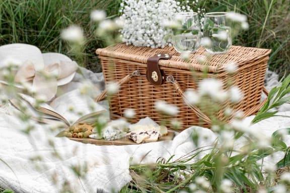 Picnic at Willow Springs, Goleta