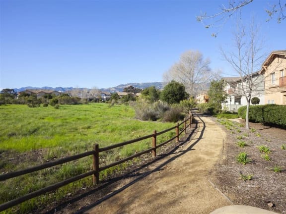 Paths at Willow Springs, Goleta, California