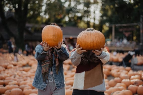 Lane Farms at Encina Meadows Apartments, California
