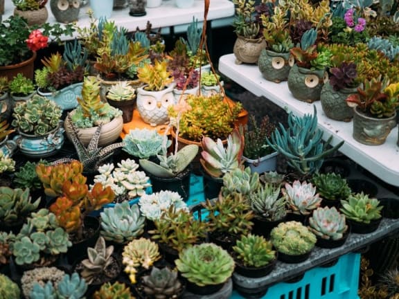 Flower Market at Encina Meadows Apartments, Goleta