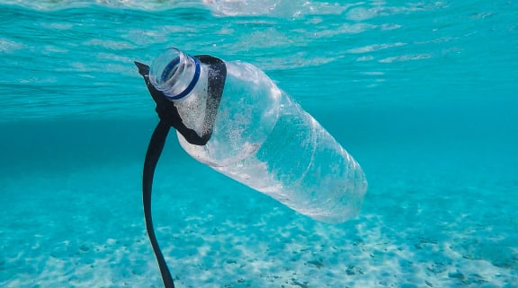 Bottle In Pool at Encina Meadows Apartments, California