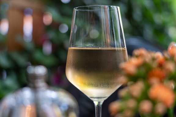 White Wine at Encina Meadows Apartments, California
