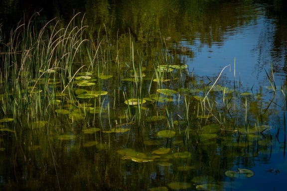 Lake Park at Encina Meadows Apartments, Goleta