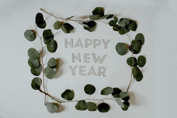 New Year at Encina Meadows Apartments, Goleta, California