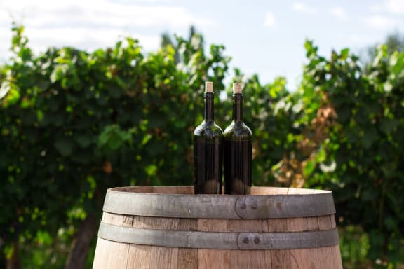 Wine at Encina Meadows Apartments, California, 93117