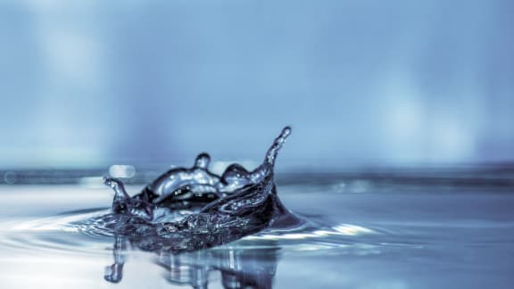 World Water Day at Encina Meadows Apartments, Goleta, California