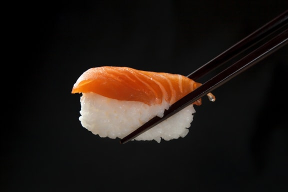 Sushi Teri at Encina Meadows Apartments, California, 93117