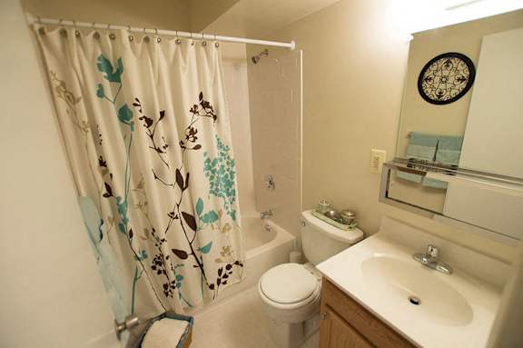 Luxurious Bathroom at Holiday Gate Apartments, Maryland
