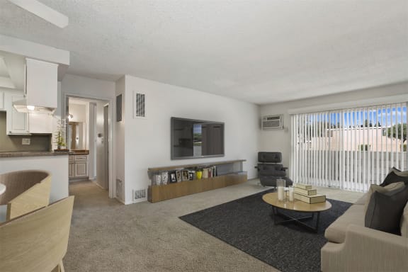 1 bedroom living room area