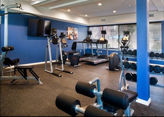a gym with weights and a tv at Legacy Apartments, California