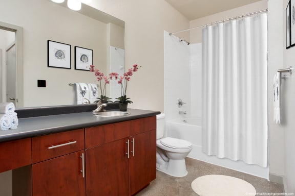 Benson Virtually Staged Model (Urban Finish)