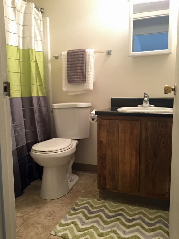 Bathroom at Knob Pines Apartments in Charlotte, MI