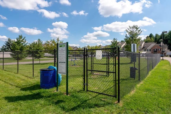 dog park at apartment