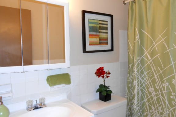 Modern Bathroom at Trinity Towers Apartments, Bedford Heights, 44146