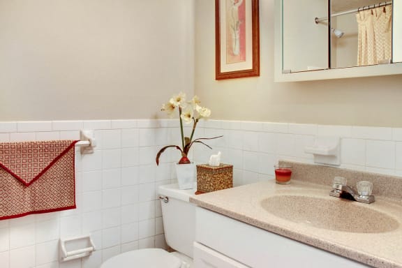 Renovated Bathrooms With Quartz Counters at Westbrook Village, Brooklyn