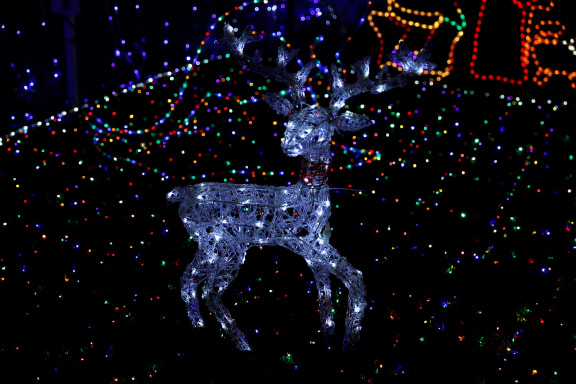 a light up reindeer stands in front of a christmas light display