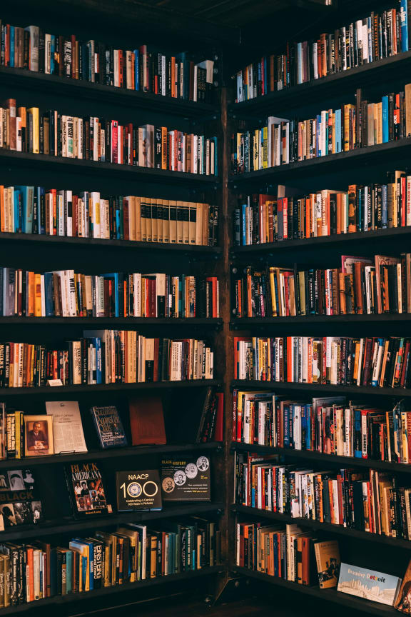 a picture of a bookshelf filled with books