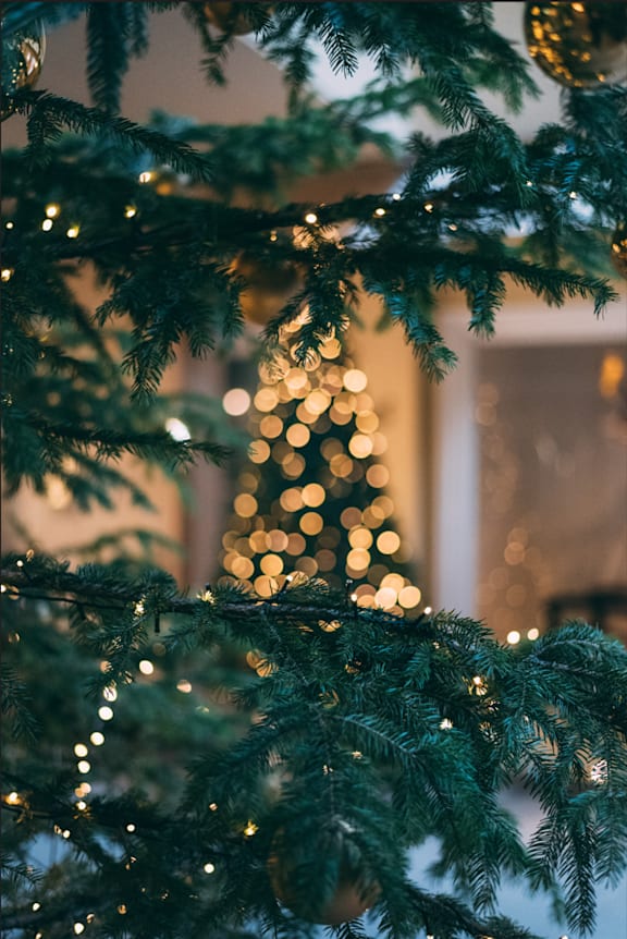 Christmas Tree at Sumida Gardens Apartments, California, 93111