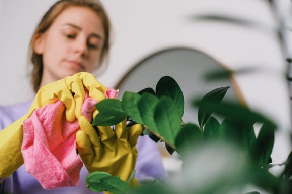 Green Living at Sumida Gardens Apartments, Santa Barbara
