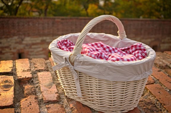 picnic at Sumida Gardens Apartments, Santa Barbara, CA
