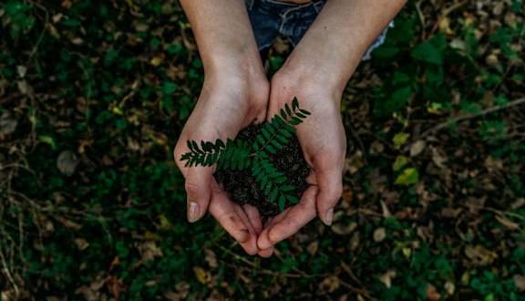 hands_holding_leaves at Sumida Gardens Apartments, California